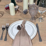 Songs of Joy and Peace